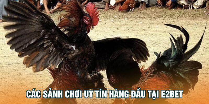 Các sảnh chơi uy tín hàng đầu tại E2Bet Các sảnh chơi uy tín hàng đầu tại E2Bet